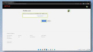 Netflix プロフィールのロックページ