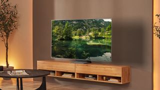 木製家具を備えたリビング ルームに置かれた Samsung S95B、テレビに緑の風景が映る