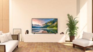 パナソニック テレビ 2021