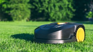 草の上のロボット芝刈り機