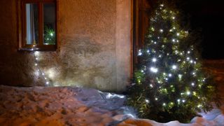 屋外の雪の中に植えられ、ストリングライトで飾られたクリスマスツリー
