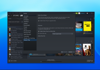 Steam Play が有効になったことを示す Chromebook での Steam セットアップ プロセス