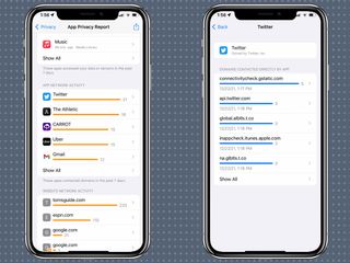 iOS 15 アプリのプライバシー レポートには、アプリが頻繁にアクセスするドメインが示されています