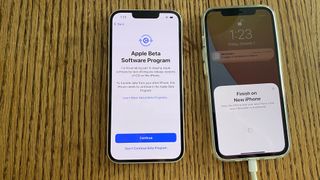 iOS 15 ベータ版を実行している場合は、クイック スタートを完​​了する前に新しい iPhone にインストールする必要があります