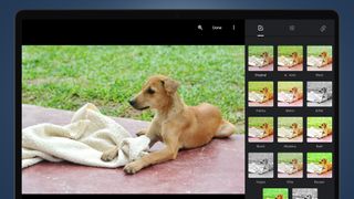 Google フォト編集ツールが表示されたノートパソコンの画面