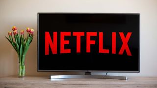 花瓶の隣のテレビ画面に映るNetflixのロゴ