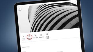 Google フォトのアーカイブ メニューの上に写真が表示されている iPad