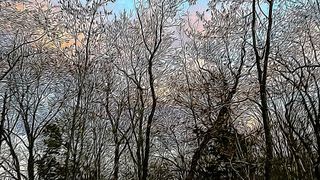 もつれたFX