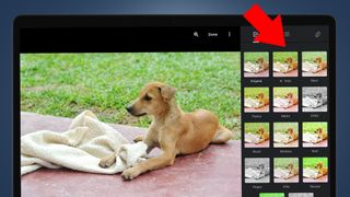 Google フォト編集ツールが表示されたノートパソコンの画面