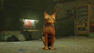 Stray トロフィー ガイド - 路地に座りながらカメラを見ている Stray のオレンジ色の猫