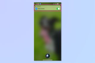 iPhone で Assistive Touch をオンにするために必要な手順を示すスクリーンショット