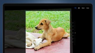 Google フォト編集ツールが表示されたノートパソコンの画面
