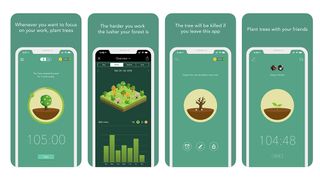 Forest に焦点を当てることを選択すると、仮想の木を植えることになります。 それであなたの仕事は？ 生き続けるために！