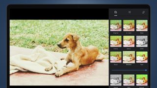Google フォト編集ツールが表示されたノートパソコンの画面
