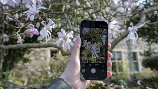 写真スタイルモードでiPhoneを持つ手