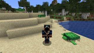 Minecraft スキン - 神秘的な魔法使いがビーチでカメとたむろしています