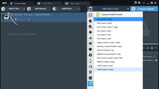 Any Video Converter 無料のスクリーンショット