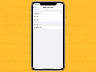 iPhone の通話の通知をミュートする